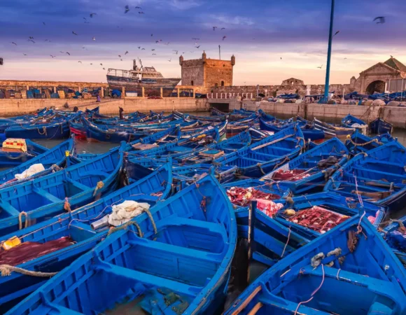 VIP Essaouira Day Trip from Marrakech